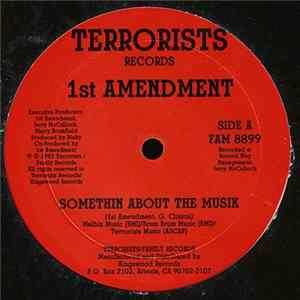 1st Amendment - Somethin About The Musik FLAC