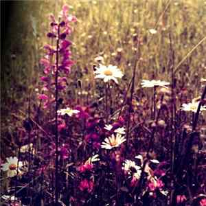 Various - In The Rhetoric Of Rupture And Re-appropriation FLAC