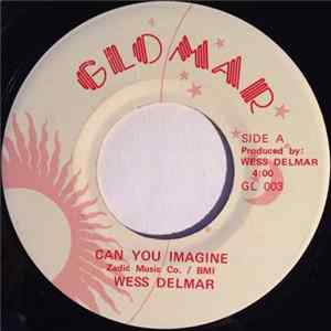Wess Delmar - Can You Imagine FLAC