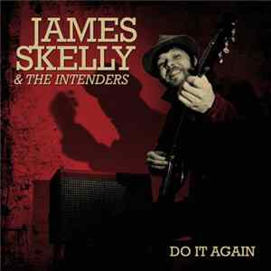 James Skelly & The Intenders - Do It Again FLAC