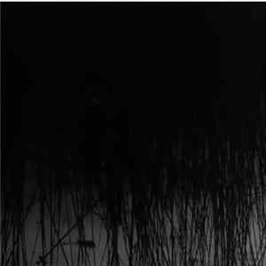 Chlorine Gargle - Drown The Sycophants FLAC