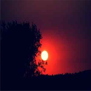 Shadow Sun - Shadow Sun FLAC