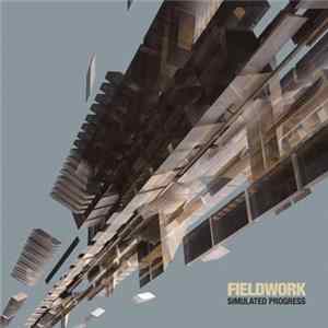 Fieldwork - Simulated Progress FLAC