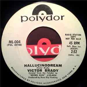 Victor Brady - Brown Rain / Hallucinodream FLAC