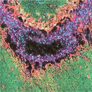Rotted Brain - Manic-Depressive Disorder FLAC