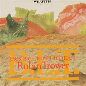 Robin Trower - What It Is FLAC