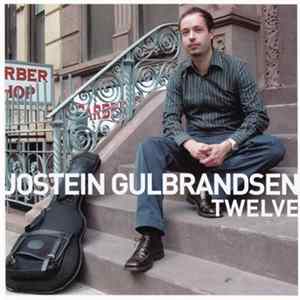 Jostein Gulbrandsen - Twelve FLAC