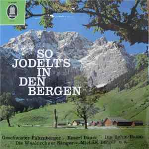 Various - So Jodelt's In Den Bergen FLAC
