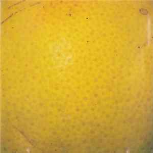 The Coctails - Peel FLAC