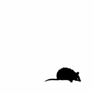 Hwidr - ++Rmxs FLAC