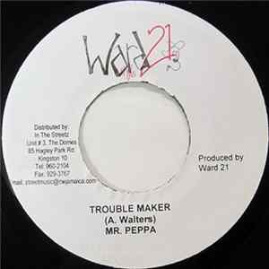 Mr. Peppa - Trouble Maker FLAC