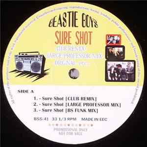Beastie Boys, Large Professor, Jeremy Steig - Sure Shot FLAC