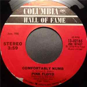 Pink Floyd - Run Like Hell / Comfortably Numb FLAC