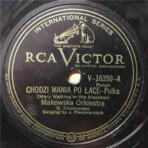 Makowska Orkiestra G. Działowego - Chodzi Mania Po Łace / Makowska FLAC