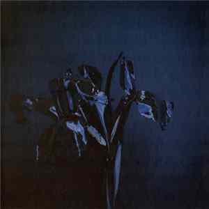 A Swarm Of The Sun - The Rifts FLAC