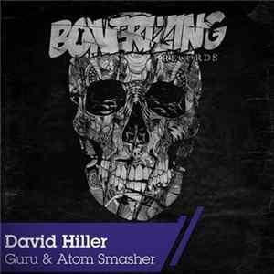 David Hiller - Guru & Atom Smasher FLAC