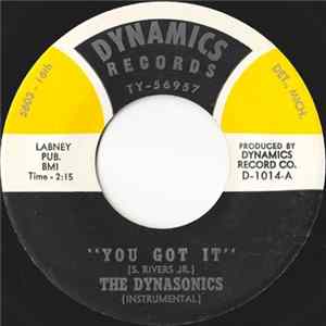 The Dynasonics - You Got It / Soul Bug FLAC