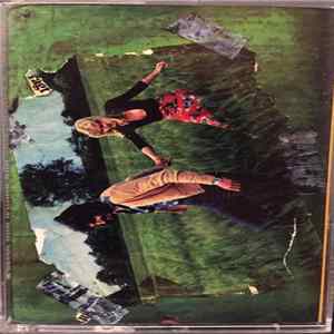 The Mr. T Experience - Our Bodies Our Selves FLAC