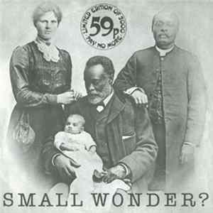 The Carpettes - Small Wonder? FLAC