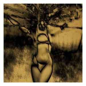 UNKLE And Warren Du Preez & Nick Thornton Jones - When The Night Falls (On A Wire) FLAC