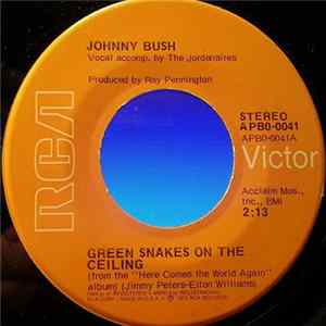 Johnny Bush - Green Snakes On The Ceiling / Drinkin' My Baby Right Out Of My mind FLAC