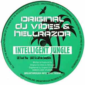 Original DJ Vibes & Hellrazor - Intelligent Jungle FLAC