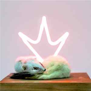 Rob Shields - Sleep Subjects FLAC