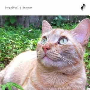 Bengalfuel - Braemar FLAC