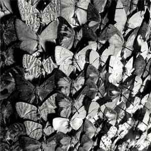 Thomas Ragsdale - Bait FLAC