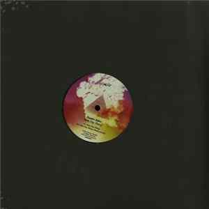 Dustin Zahn - New Day Rising FLAC