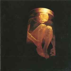 Alice In Chains - Nothing Safe: The Best Of The Box FLAC