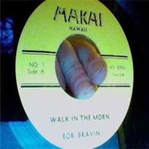 Bob Bravin - Walk In The Morn FLAC