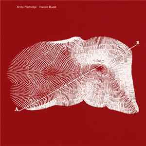 Andy Partridge, Harold Budd - Through The Hill FLAC
