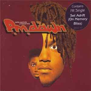 P.M. Dawn - Reality Used To Be A Friend Of Mine FLAC