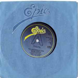 The Psychedelic Furs - Sister Europe FLAC