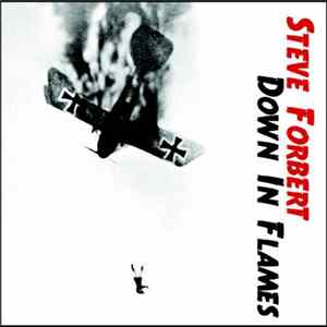 Steve Forbert - Down In Flames FLAC