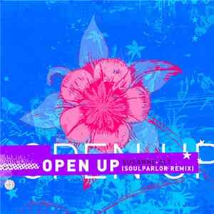 Susanne Alt - Open Up (SoulParlor Remix) FLAC