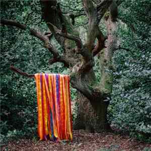 James Holden & The Animal Spirits - Pass Through The Fire FLAC