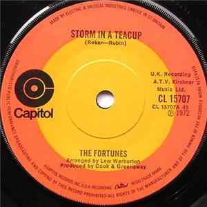 The Fortunes - Storm In A Teacup FLAC