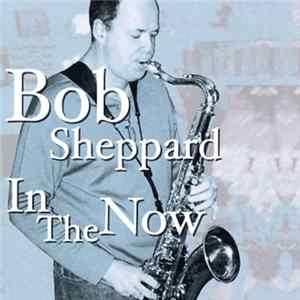 Bob Sheppard - In The Now FLAC