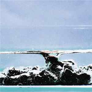 Insiden - Above Us FLAC