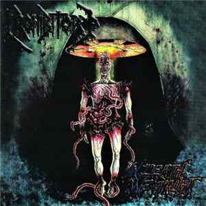 Prohibitory - In Death We Trust FLAC
