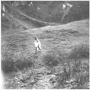 ◯ / Planks - Split FLAC
