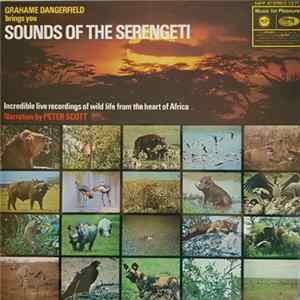 Grahame Dangerfield - Sounds Of The Serengeti FLAC