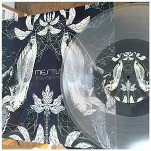 Mestis - Polysemy FLAC