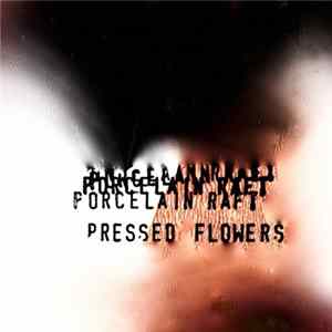 Porcelain Raft - Pressed Flowers FLAC