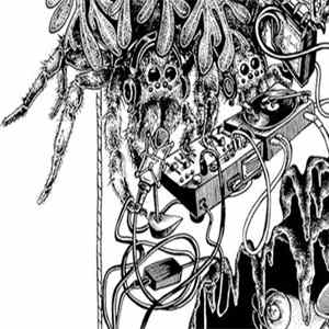 thfcmmndr - No Surrender FLAC