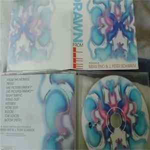 Brian Eno & J. Peter Schwalm - Drawn From Life FLAC