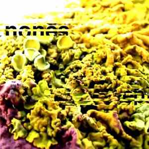 Planes de Jibaros - Nones... EP FLAC