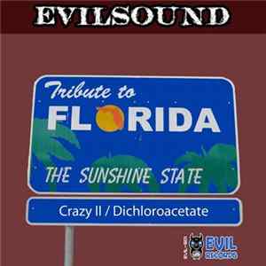 EvilSound - Tribute To Florida FLAC